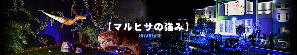 マルヒサの強み - 株式会社マルヒサ