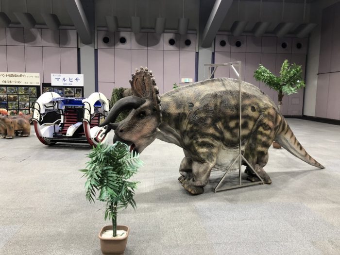 トリケラトプス